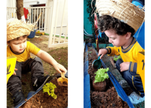 Projeto Horta - Alunos do Minimaternal e maternal